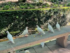 -善卷洞风景区