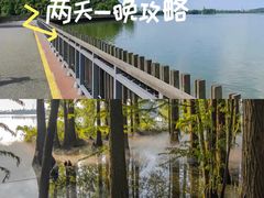 -东湖落雁景区