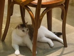 -水先生寧波菜(天一店)