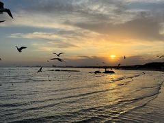 -老虎石海上公园