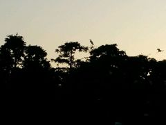 -象山森林公园