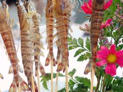 -新花城蟹粉馆(乌鲁木齐店)