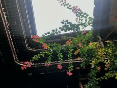 -福建土楼(南靖)景区