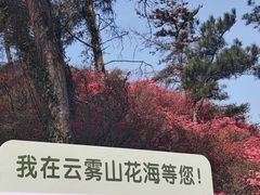 -木兰云雾山