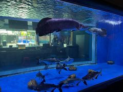 -顺德南宏海立方海洋公园