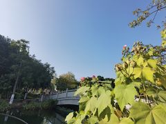 -映月湖公园