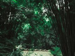 -成都杜甫草堂博物馆