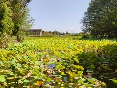 -中国天府农业博览园