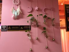 -pink baby·新晋网红打卡地