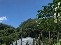 -深圳仙湖植物园