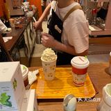茉莉奶白上新品了