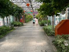 -南宫五洲植物乐园