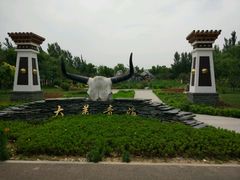 -武清南湖绿博园