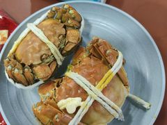 -黄记大闸蟹专卖店·活蟹·醉蟹