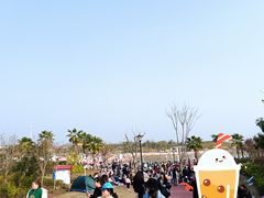 -九龙湖公园