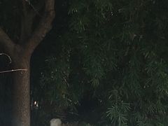 -沪东工人文化宫