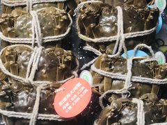 -盒马X会员店(王府井奥莱UP TOWN店)