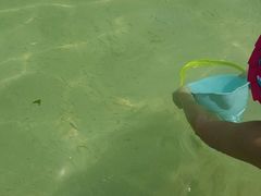 -东姑阿都拉曼海洋公园