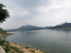 -望湖烤鱼