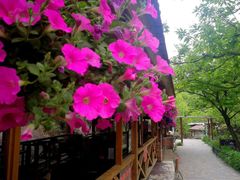 -北京水岸山吧度假村(雁栖镇店)