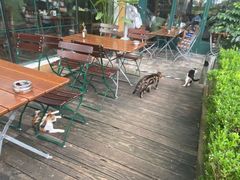 -宝莱纳餐厅(滨江店)