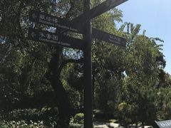 -迎泽公园