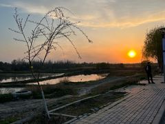 -伊犁河风景区