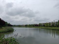 -两河城市森林公园