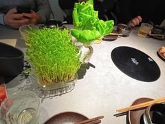 -罗勒家·养生火锅· Bistro(大望路店)