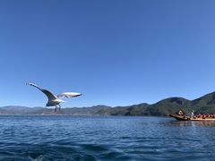 -丽江泸沽湖景区