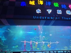 -泉城欧乐堡海洋极地世界