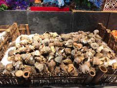 -威珀斯酒店·珀萃美食餐厅 | 海鲜刺身·现烤生蚝·特色烤肉