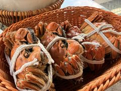 -蟹村草堂·苏式园林人文农家·大闸蟹