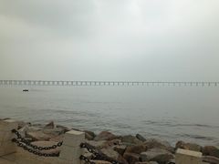 -宝安西湾红树林湿地公园