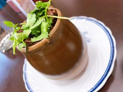 -巢湖名吃·东关老鹅汤(江南风情街店)
