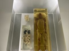 -荆州博物馆