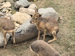-祥源·阜阳生态乐园