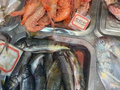 -金秋小吃海鲜·专注30年临海特色风味