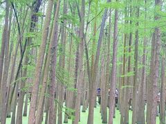 -青山湖景区