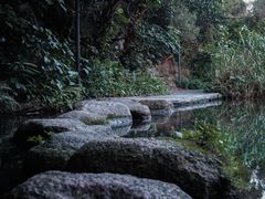 -燕晗山郊野公园