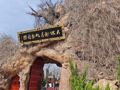 -大槐树寻根祭祖园