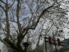 -南京钟山宾馆(江苏省会议中心)