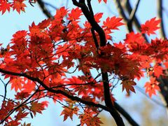 -丹东天桥沟景区