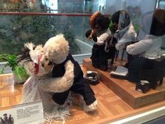 iphone_upload_pic-济州岛泰迪熊博物馆