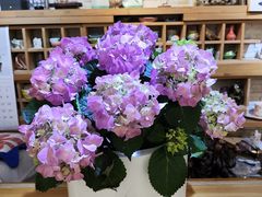 -今日陶艺(富力广场店)