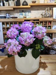 -今日陶艺(富力广场店)