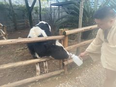 -海兰云天度假区温泉