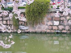 -常熟方塔园