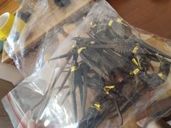 -鸿港海鲜批发市场