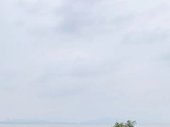 -深圳湾公园(南山区)